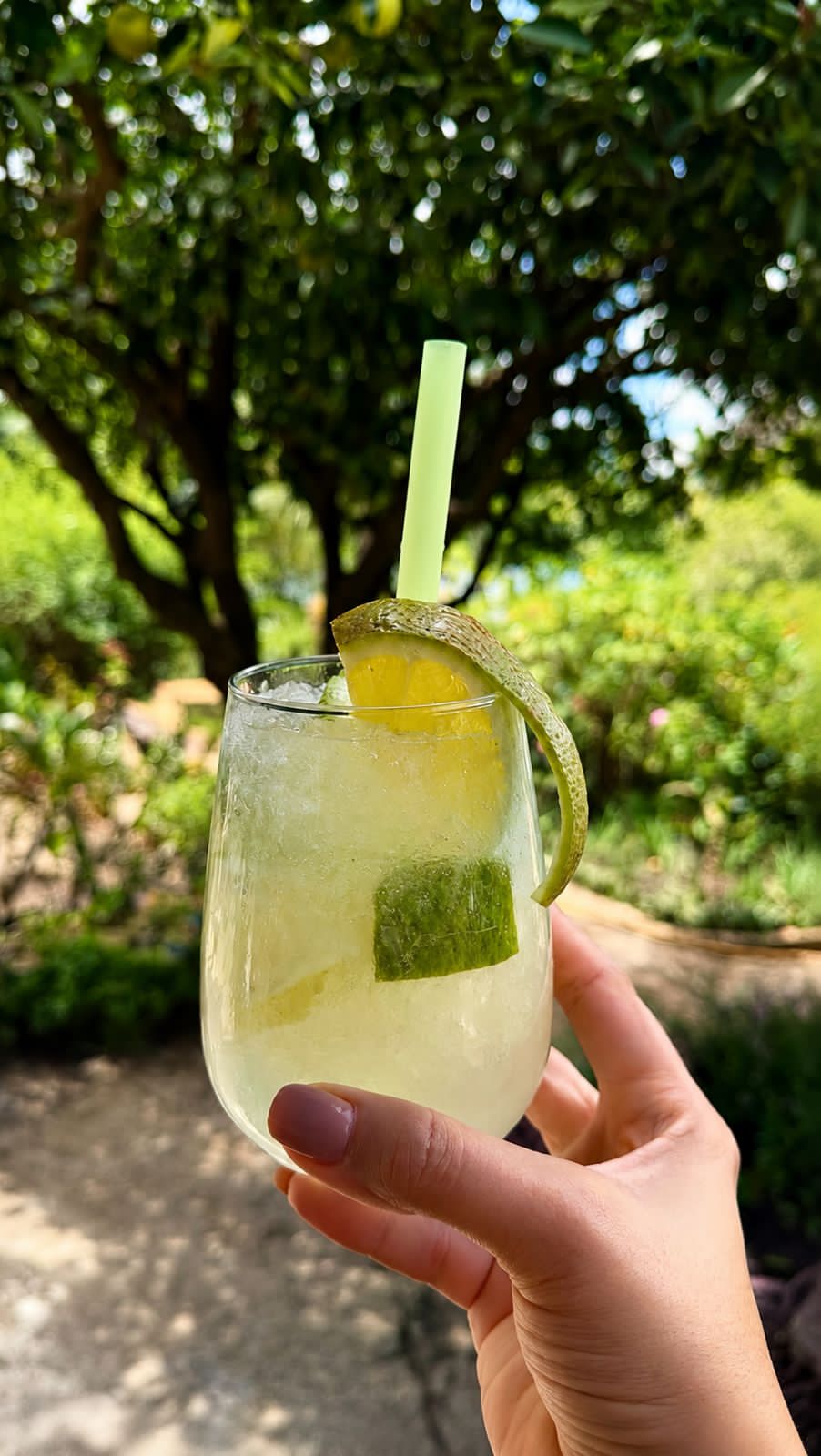 Suco Natural, Gastronomia 